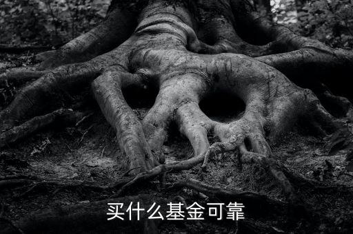 什么基金靠譜，哪些基金公司比較靠譜