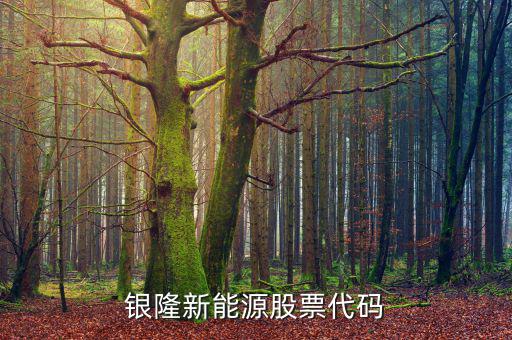 銀龍股份什么時(shí)候上市，銀隆新能源股票代碼
