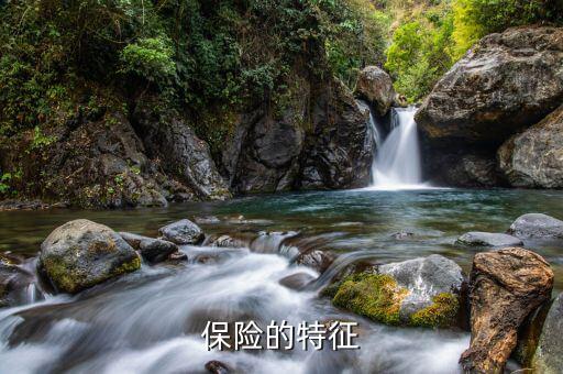 保險具有什么特點(diǎn)，保險的特征