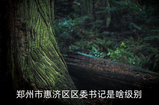 王洪章是什么級(jí)別，武警江西省總隊(duì)司令是什么級(jí)別