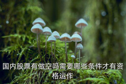 什么股票才可以做空，同花順里面有沒有可以做空的股票