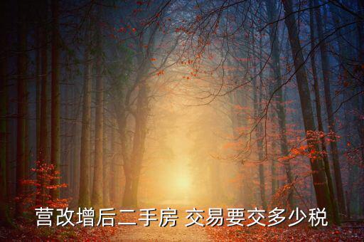二手房營改增后買賣要上什么稅，營改增后二手房 交易要交多少稅