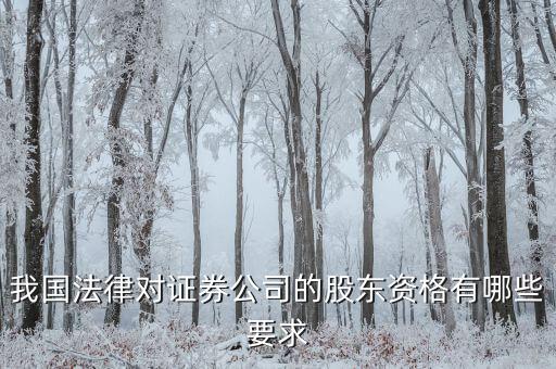 金融公司應(yīng)引入什么樣的股東，我國(guó)法律對(duì)證券公司的股東資格有哪些要求