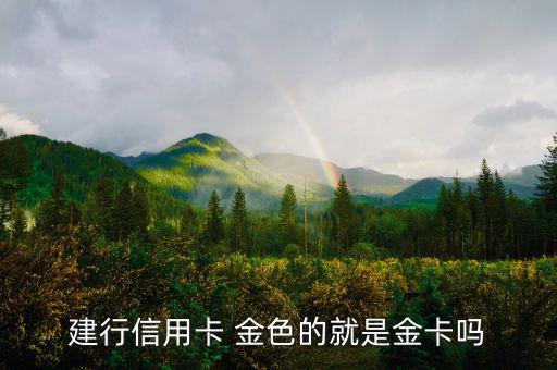 建設(shè)銀行信用卡什么卡種是金卡，我申請(qǐng)建設(shè)銀行的信用卡我申請(qǐng)的是金卡審核通過了上面寫的卡