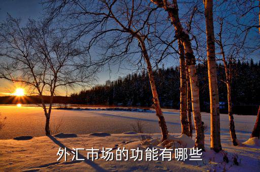 外匯有什么用，外匯市場的功能有哪些
