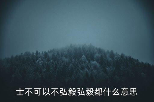 市布可以不弘毅什么意思，曾子曰士不可以不弘毅 什么意思