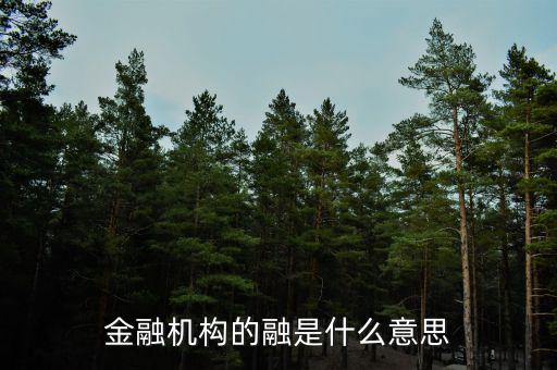 金融機(jī)構(gòu)的融是什么意思，融資中的融是什么意思