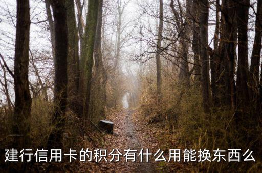 建行信用卡積分能兌換什么，請(qǐng)問下建行信用卡1萬多積分可以換什么