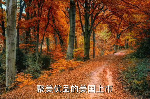 聚美優(yōu)品為什么要上市，根據(jù)聚美優(yōu)品案例談?wù)勈裁词莍po