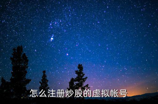 虛擬證券賬戶(hù)是什么，什么叫股票的虛擬賬戶(hù)