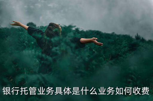 什么是票據(jù)托管，銀行托管業(yè)務(wù)具體是什么業(yè)務(wù)如何收費(fèi)