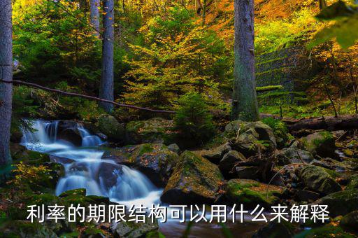 利率的期限結構可以用什么來解釋，簡述利率的期限結構