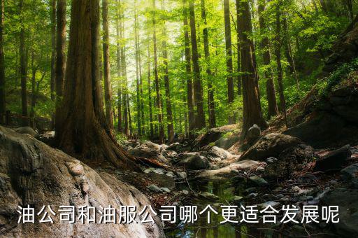 油服行業(yè)是什么，在油服公司做hr是做些什么