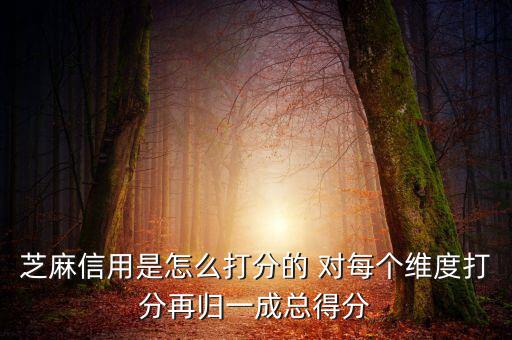 芝麻信用評(píng)分依據(jù)是什么，芝麻信用以什么依據(jù)評(píng)分