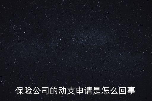 什么是動支申請，怎么樣支申請