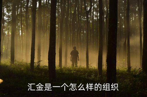 中央?yún)R金干什么的，匯金是一個怎么樣的組織
