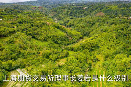 上交所理事長什么級別，上海期貨交易所理事長姜巖是什么級別