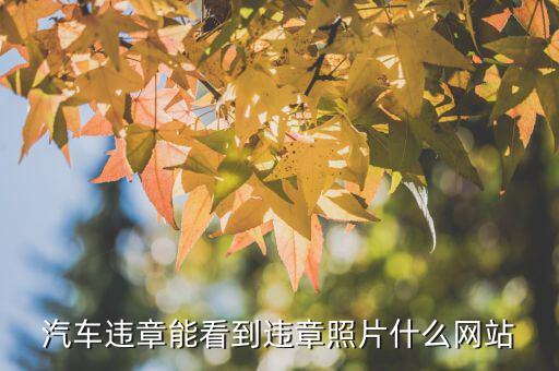 什么網站可以查違章圖片，網上那里可以查車輛違章照片