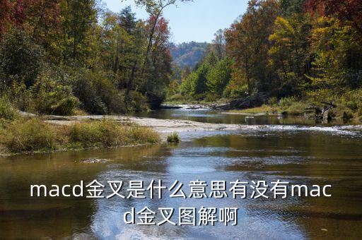 macd金叉是什么，請問在外匯交易中什么是MACD金叉