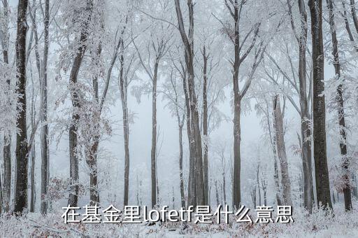 什么是etf，ETF 基金到底是什么東西
