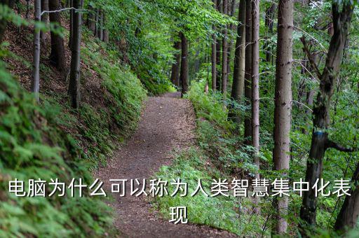 電腦為什么能夠做人工智能，電腦為什么可以稱(chēng)為人類(lèi)智慧集中化表現(xiàn)