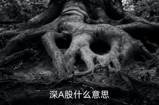 深市a股是什么，深A(yù)股什么意思