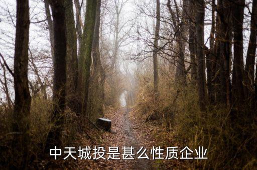 中天城投是什么概念，中天城投在這么些年的發(fā)展中涉及了哪些行業(yè)