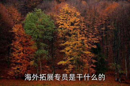 外拓業(yè)務(wù)員是做什么的，海外拓展專員是干什么的