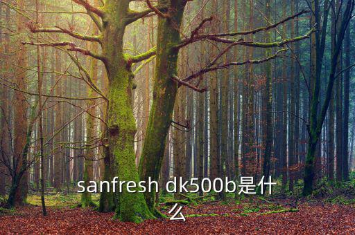 金鷹500b是什么，EOS 500B 是什么Rin的樂器