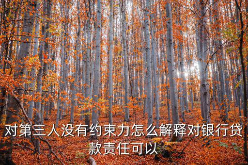 對(duì)第三人沒有約束力怎么解釋對(duì)銀行貸款責(zé)任可以