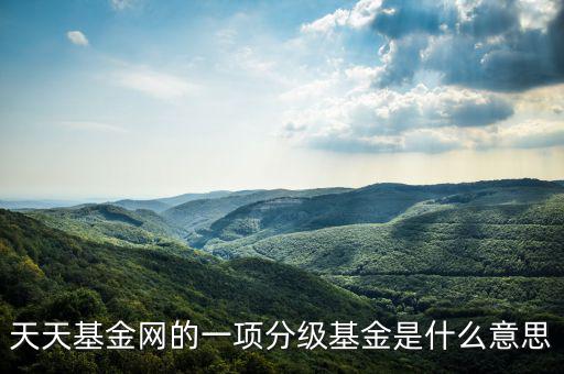 天天基金網的一項分級基金是什么意思