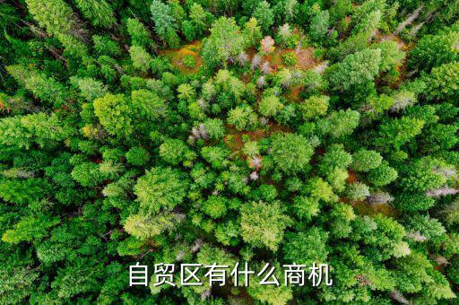 自貿區(qū)有什么商機