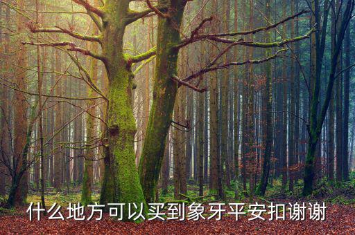在日本什么地方買象牙制品，什么地方有批發(fā)象牙飾品的