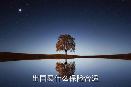 什么保險(xiǎn)長(zhǎng)期在國(guó)外有用，什么保險(xiǎn)有去國(guó)外玩的保障啊