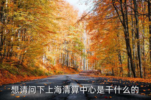 上海清算所做什么，想請(qǐng)問(wèn)下上海清算中心是干什么的