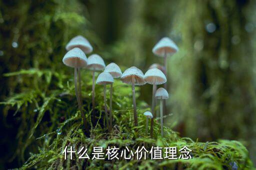 什么是核心價(jià)值理念，什么是核心價(jià)值理念