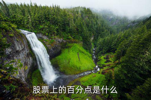股份中的百分點(diǎn)是什么，在股票中百分點(diǎn)是指的什么