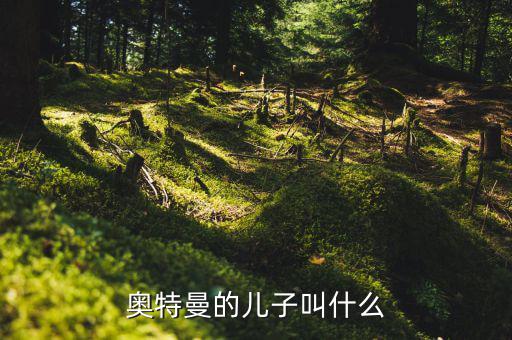 奧特佳老總兒子叫什么，奧特曼的兒子叫什么