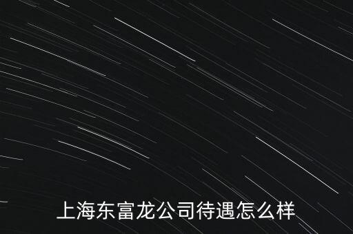 東富龍是做什么的，東富龍股票屬于什么概念