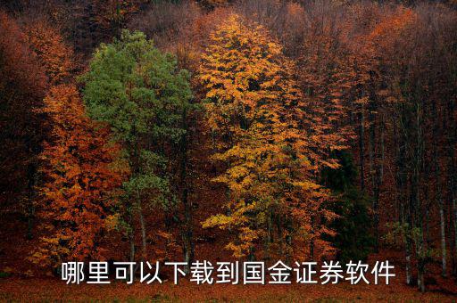 國金證券用的什么軟件，國金證券手機(jī)怎樣下載