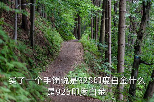 買了一個(gè)手鐲說(shuō)是925印度白金什么是925印度白金