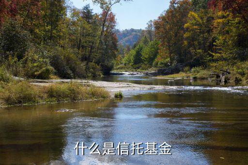 信托基金是什么，信托是什么