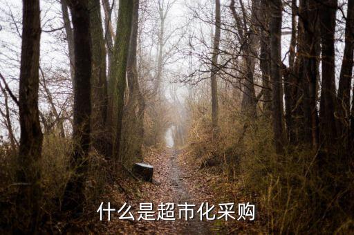 超市化采購什么意思，什么是超市化采購