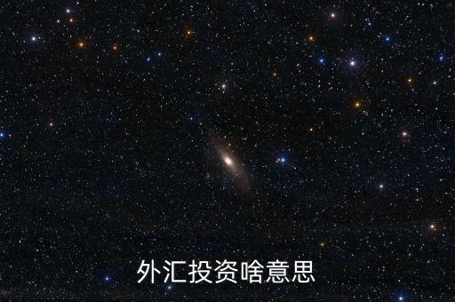 外匯融資是什么意思，外匯投資啥意思