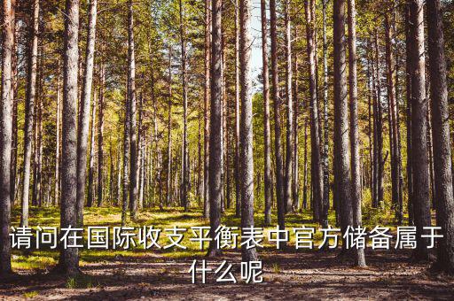 官方儲備資產(chǎn)包括什么，官方儲備資產(chǎn)包括固定資產(chǎn)嗎