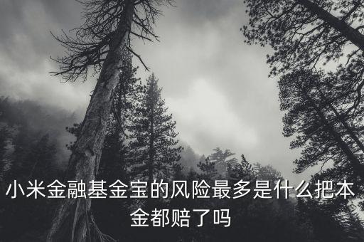 小米金融基金寶為什么一直跌，小米金融基金寶我投了100元為什么還在確認當中何時贖回