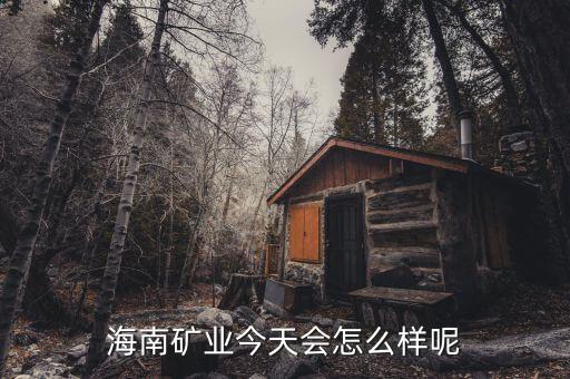 海南礦業(yè)在什么時候上市，說說海南礦業(yè)今天還會繼續(xù)大漲嗎