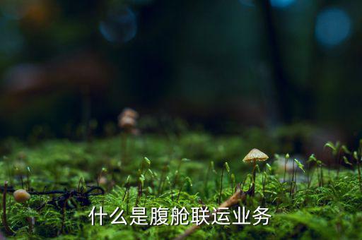 什么叫聯(lián)運(yùn)業(yè)務(wù)，什么是腹艙聯(lián)運(yùn)業(yè)務(wù)