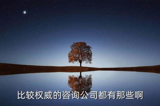 艾瑞和易觀是什么公司，易觀國際有幾個子公司