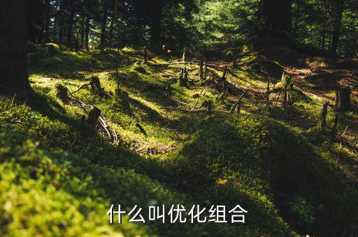 優(yōu)化重組是什么書，什么叫優(yōu)化組合